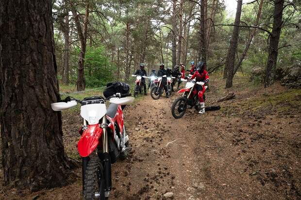 Stark Varg EX. Отзыв