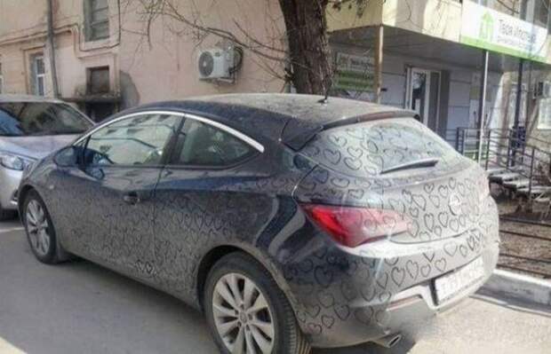 Прикольные картинки Прикольные картинки