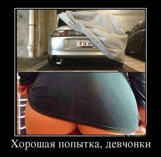Демотиваторы бревно, демотиваторы, юмор