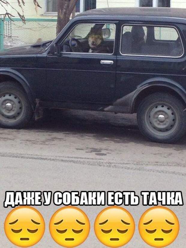 ПОДБОРКА ФОТОПРИКОЛОВ № 325