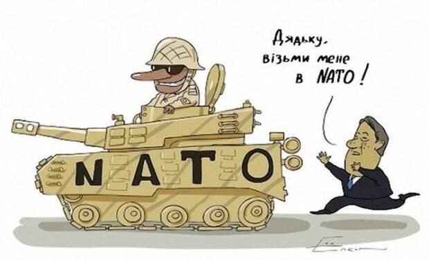 Саша Корпанюк: Украина и НАТО! Может лучше Украина и США? Денежнее... Саша Корпанюк: Украина и НАТО! Может лучше Украина и США? Денежнее...
