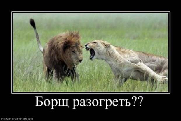 Пятничные демки, приколы в картинках и фото юмор.