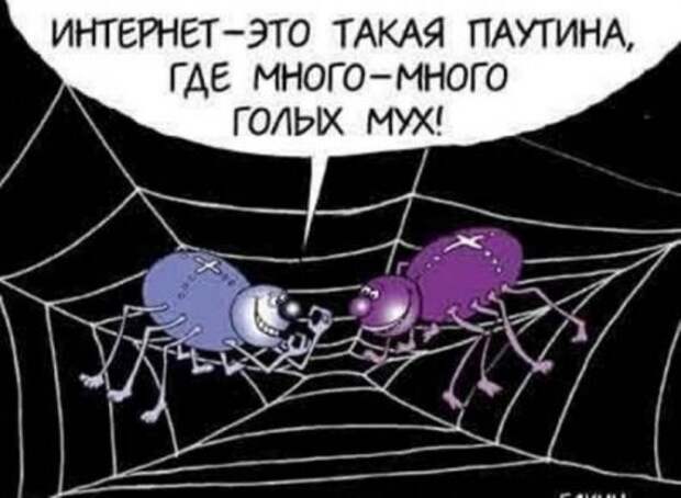 Карикатуры. Рисуем хорошее настроение каждый день