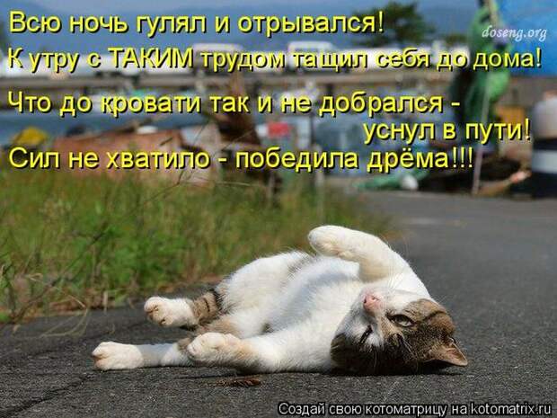 Мысли вслух :)
