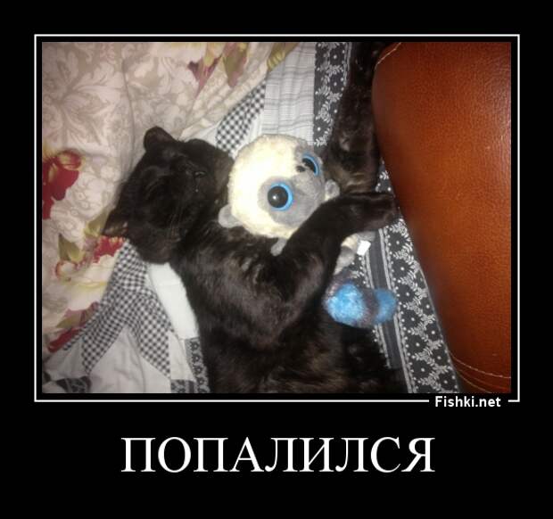 Демотиваторы демотиваторы