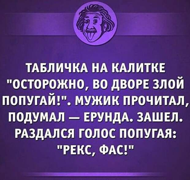 Бывает, когда они работают в паре Бывает, когда они работают в паре животные, прикол