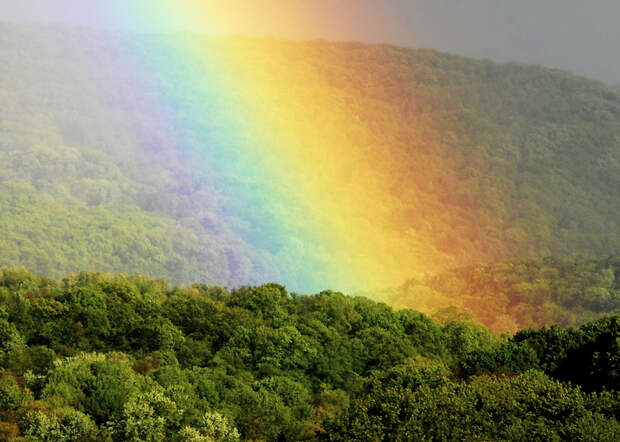 iStock_000006237628_Medium-.jpg iStock_000006237628_Medium-.jpg