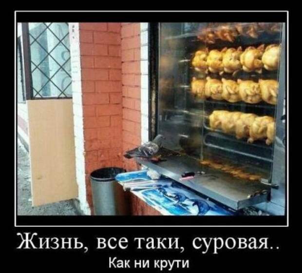 Ржачные демотиваторы на выходные
