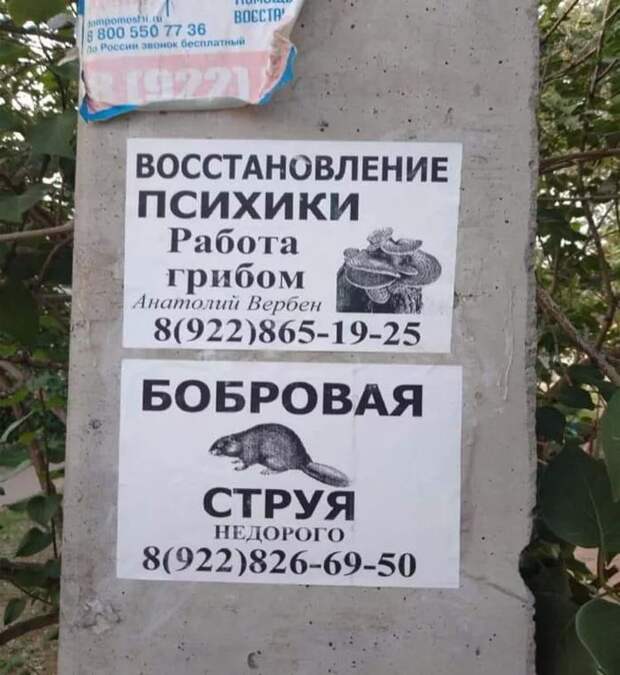 20 объявлений, которых не встретишь в другой стране 20 объявлений, которых не встретишь в другой стране