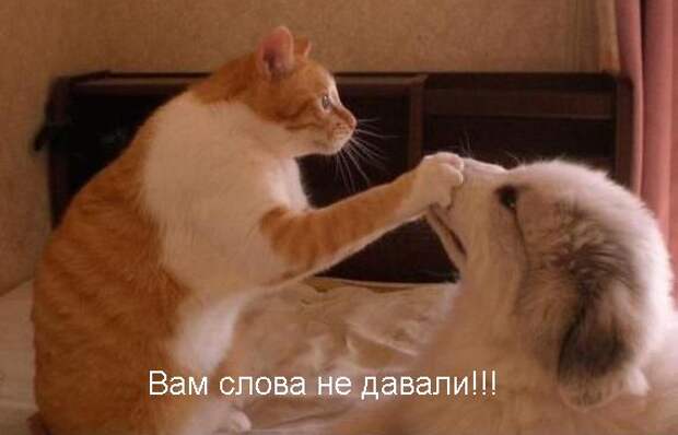 Давайте улыбаться вместе! :) (23 улыбки)