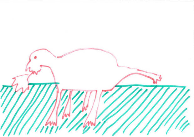 First up, you know things aren't going to go well when the first image back looks like a five-legged dinosaur holding a leaf.