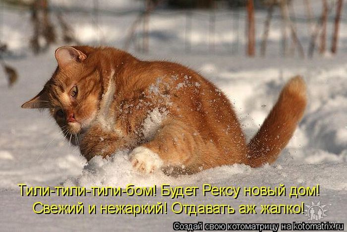 Мысли вслух :)