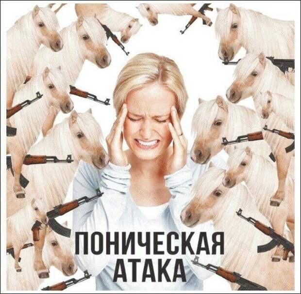 Ponyc attack мемы, прикол, юмор