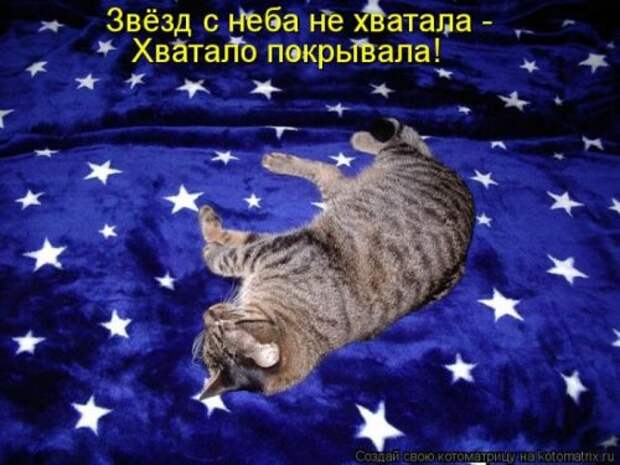 Новые юморные котоматрицы (27 шт) Новые юморные котоматрицы (27 шт)