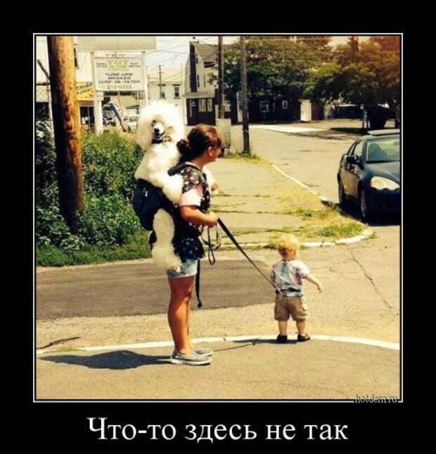 Прикольная пачка демотиваторов. Зимнее настроение Прикольная пачка демотиваторов. Зимнее настроение