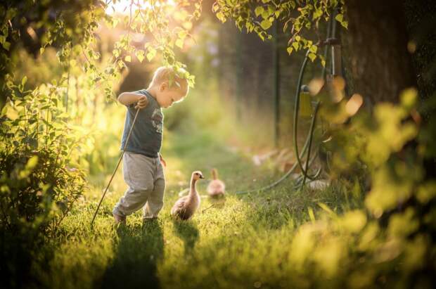 25-Photos-Which-Charmed-Even-Professional-Photographers-Artnaz-Com-5