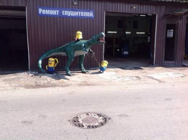Фото приколы по полной.