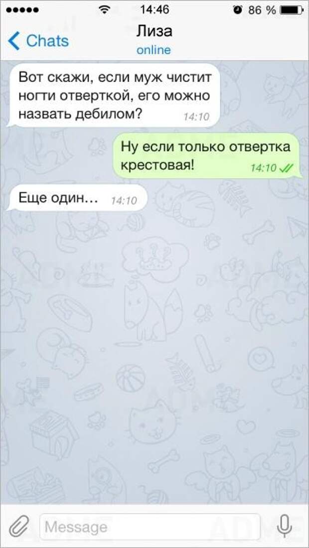 15 СМС от людей с бесценным жизненным опытом смс, юмор
