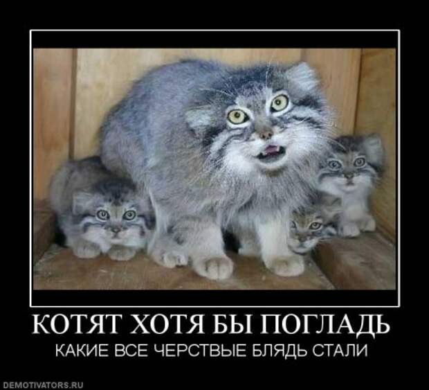 Смешные демотиваторы на разные темы.
