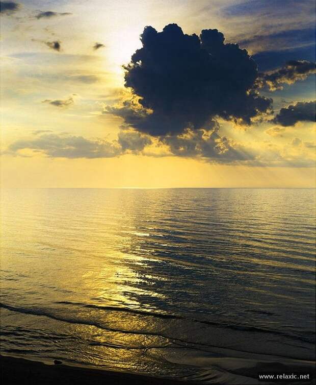 Andris_Eglitis_002 Andris_Eglitis_002