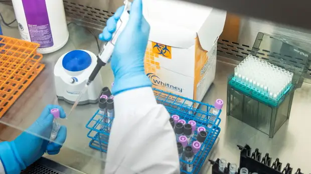 В Молдавии за сутки выявили 257 случаев коронавируса