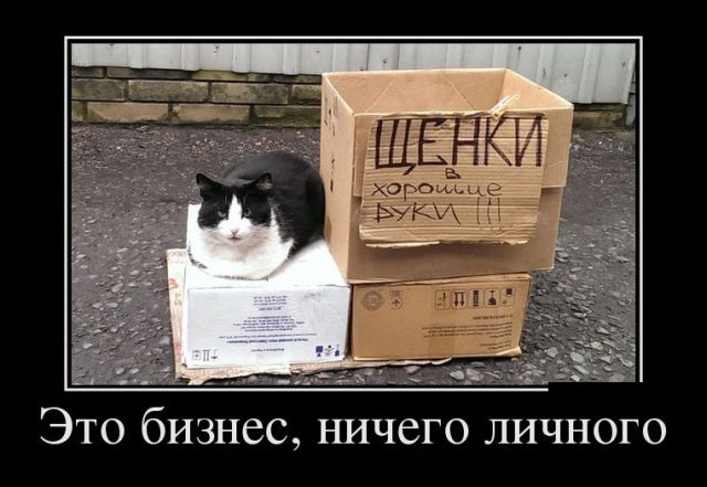Демотиваторы (30 фото)
