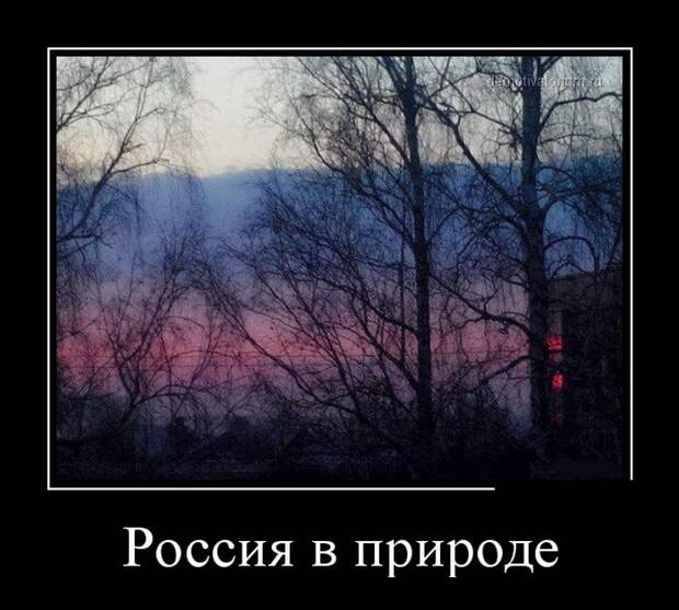 Демотиваторы (30 фото) Демотиваторы (30 фото)