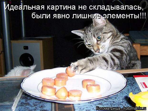 Котоматрица: Идеальная картина не складывалась,  были явно лишние элементы!!!