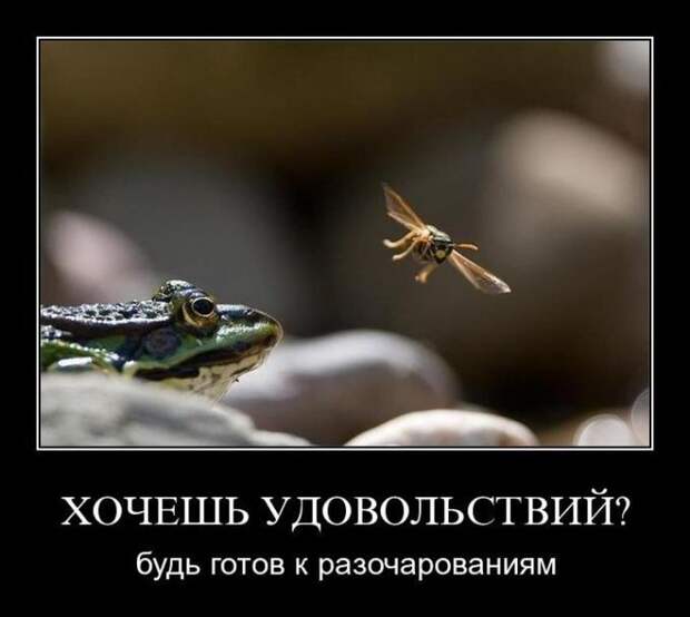 Демотиваторы (30 фото)