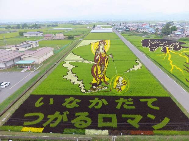 these-rice-fields-in-japan-look-like-ordinary-rice-fields-but-take-a-look-what-happens-next-artnaz-com-13