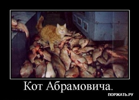 Демотиваторы, истории с приколом.
