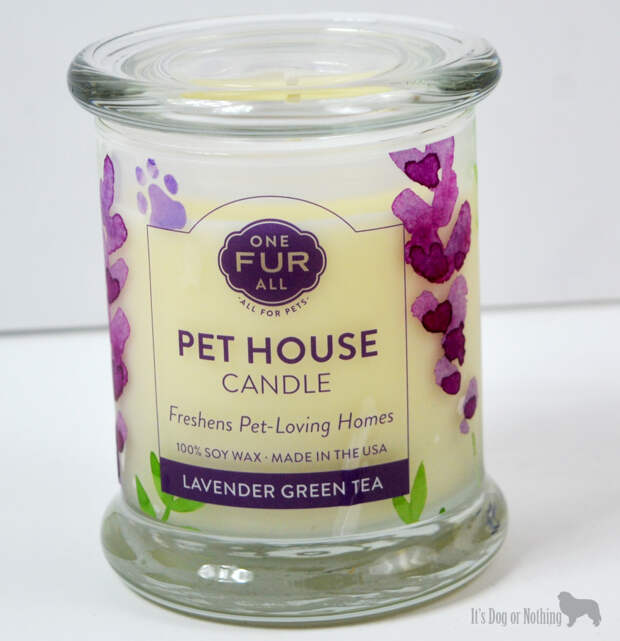Pet House Candles