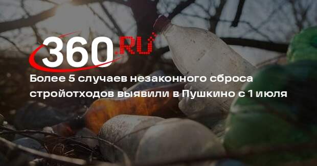 Более 5 случаев незаконного сброса стройотходов выявили в Пушкино с 1 июля