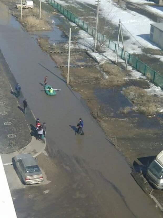 Доза позитива в фото-приколах (42 шт)