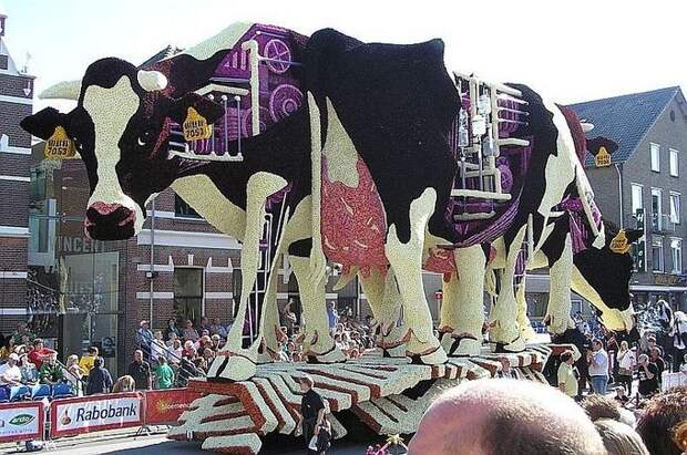 Невероятные цветочные скульптуры на параде Bloemencorso Zundert (17)