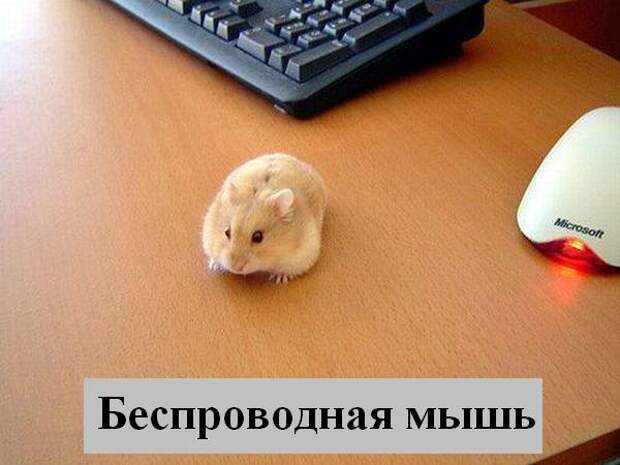 Мысли :) (50мыслей)