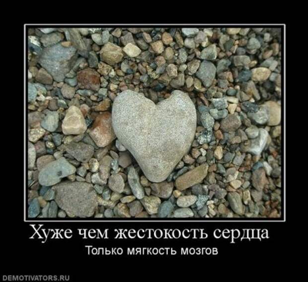 Сердце не камень человек