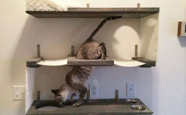 Трехуровневый бункер для кота