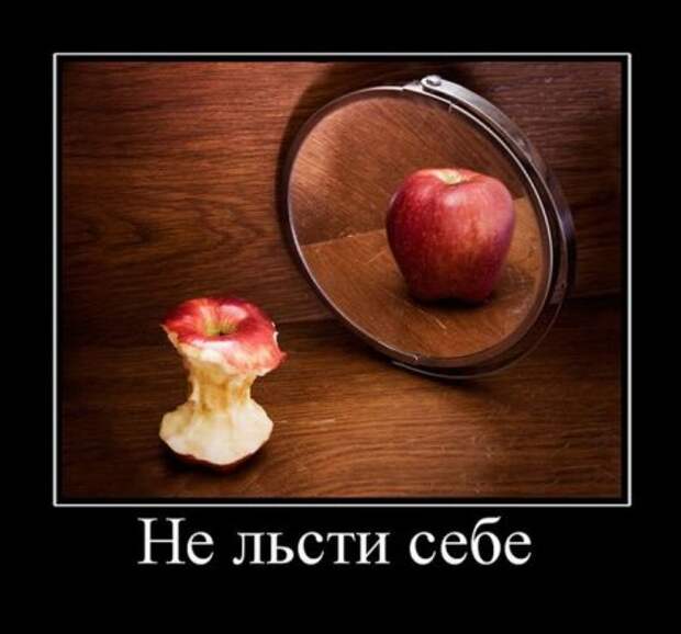 Демотиваторы с приколами, развеселят кого угодно.