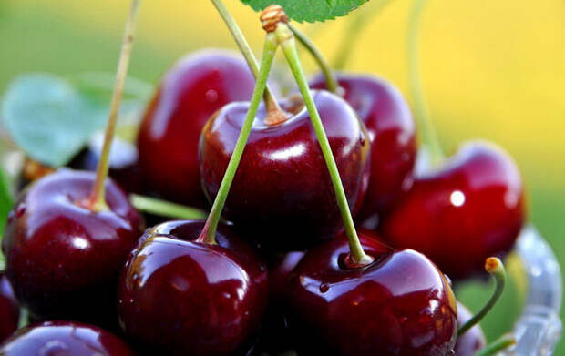 10 продуктов, нормализующих сон
