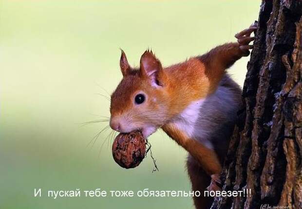 rrnJi9QiNVQ
