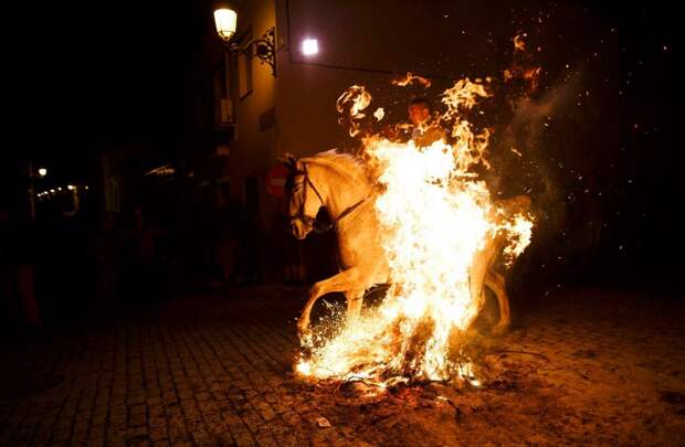 Luminarias - испанский фестиваль огня и животных-15