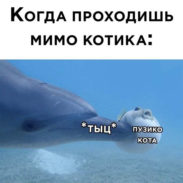 Смешные картинки 9 августа 2021 года