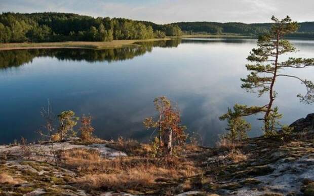 10 самых красивых дорог России 10 самых красивых дорог России