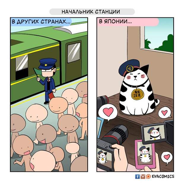 Я живу в Японии и вижу культурные различия между ней и другими странами