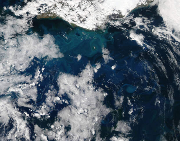 NASA ко Дню Земли показало лучшие снимки нашей планеты