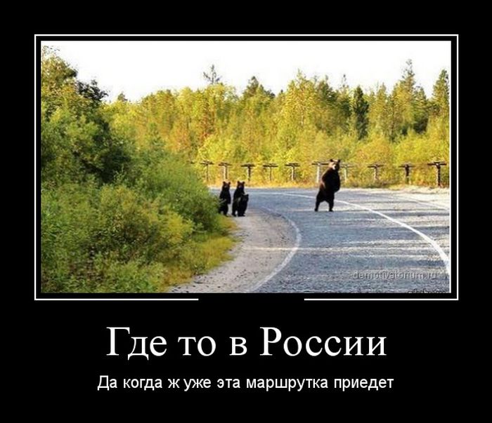 Демотиваторы №1111 (30 фото)