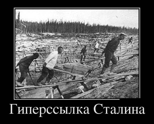 Демотиваторы (30 фото)