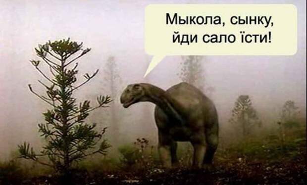 Древние укры. История Древние укры. История