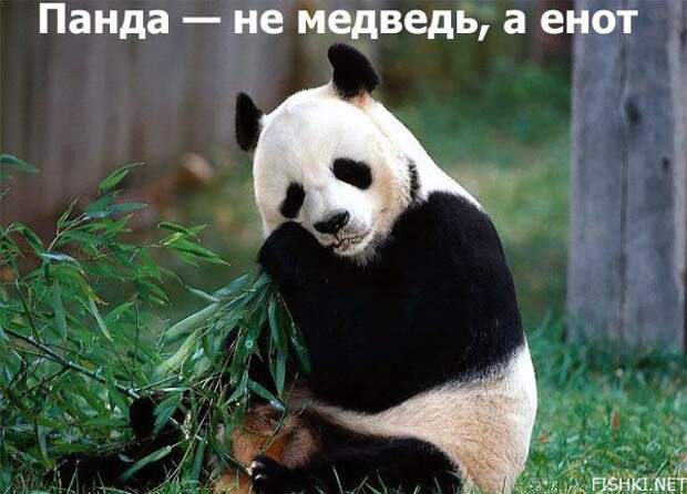 Интересные факты в картинках (47 фото)